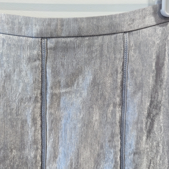 Judith & Charles Silver Paneled Skirt - Picture 3 of 5